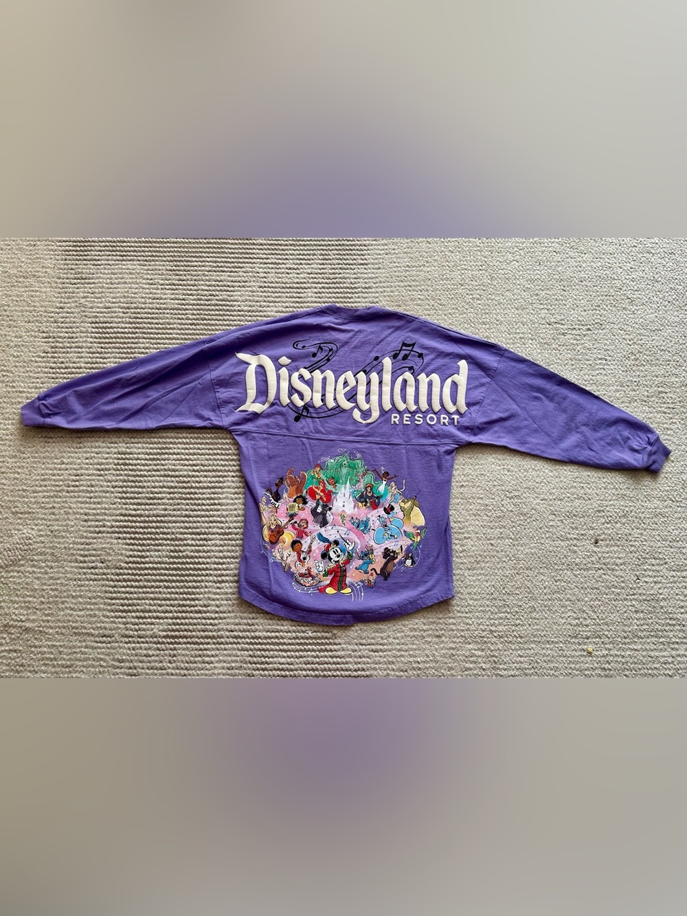 Disneyland Resort “100 Years of Mudic and Wonder” Spirit Jersey Size S Like New